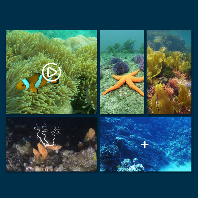Mini Wifi Rc Underwater Camera - đánh giá và giá Rc Hobby Photos